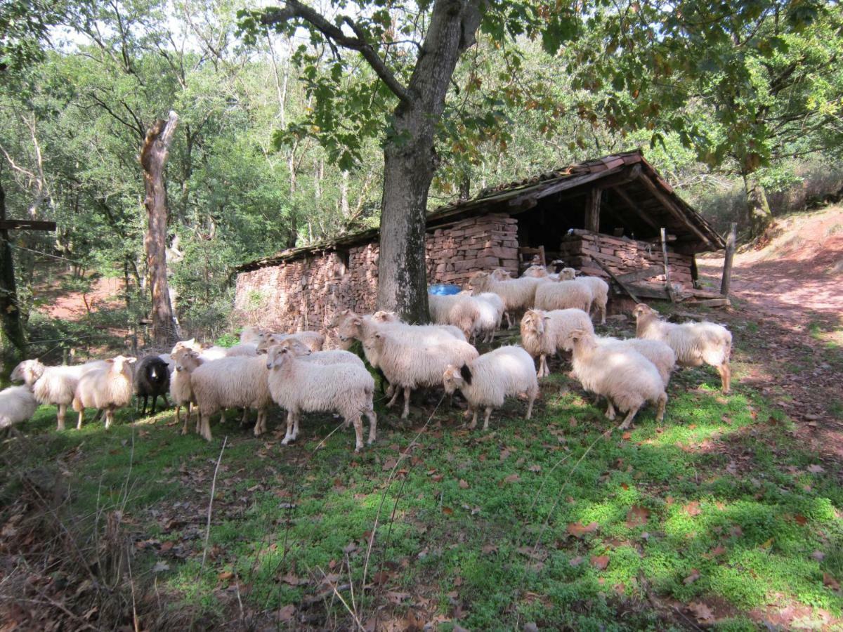 Casa Rural Lakoizketa Легаса Экстерьер фото